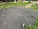 Leagăn rupt și neînlocuit